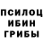 Псилоцибиновые грибы ЛСД Tsar 10